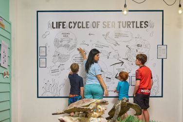 photo The Ravenala Attitude Ile Maurice