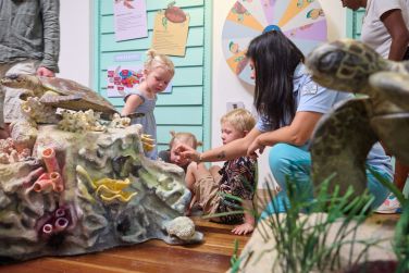 photo The Ravenala Attitude Ile Maurice