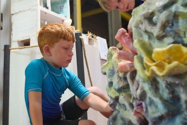 photo The Ravenala Attitude Ile Maurice