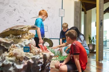 photo The Ravenala Attitude Ile Maurice