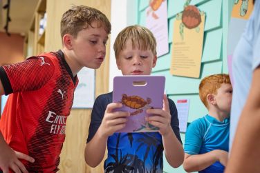 photo The Ravenala Attitude Ile Maurice