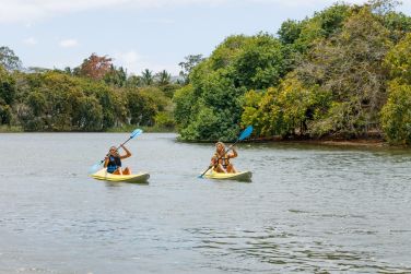photo The Ravenala Attitude Ile Maurice