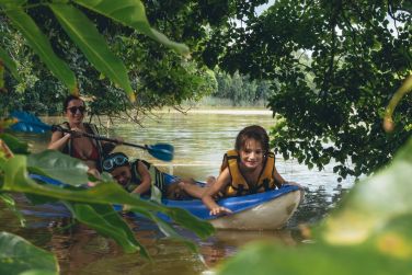 photo The Ravenala Attitude Ile Maurice