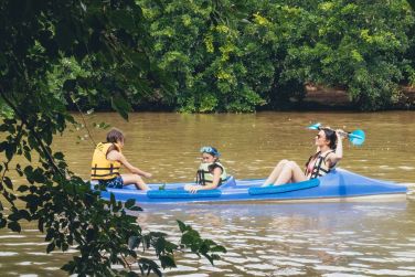 photo The Ravenala Attitude Ile Maurice