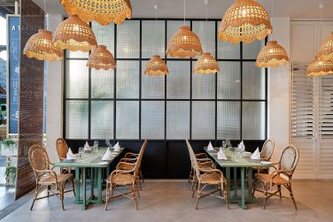 photo The Ravenala Attitude Ile Maurice