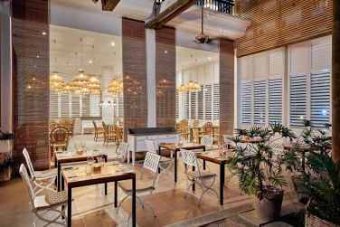 photo The Ravenala Attitude Ile Maurice