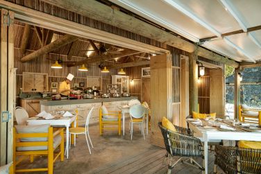 photo The Ravenala Attitude Ile Maurice