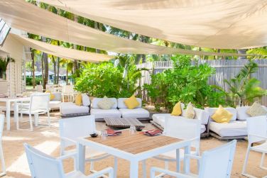 photo The Ravenala Attitude Ile Maurice