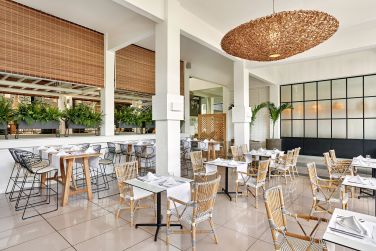 photo The Ravenala Attitude Ile Maurice