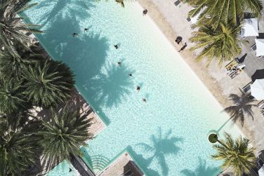 photo The Ravenala Attitude Ile Maurice