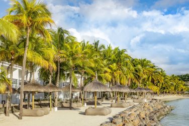 photo The Ravenala Attitude Ile Maurice