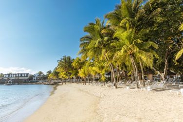 photo The Ravenala Attitude Ile Maurice