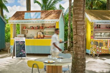 photo The Ravenala Attitude Ile Maurice