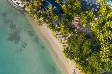 photo The Ravenala Attitude Ile Maurice