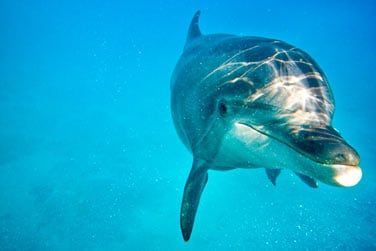 Un moment magique en perpective...