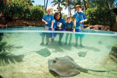 Les enfants pourront profiter de nombreuses activits en famille ou avec le mini club