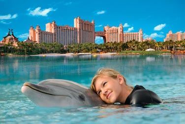 L'endroit o vous pourrer rencontrer cet animal emblmatique