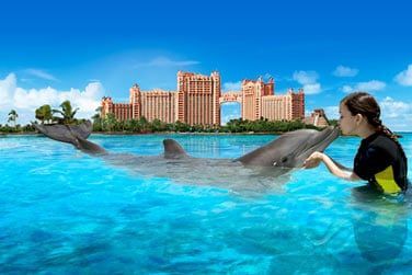 Plusieurs possibilits s'offrent  vous selon vos envies et votre niveau de natation