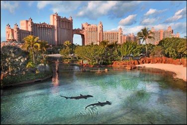 Au cur de la petite le de Paradise Island, dcouvrez une architecture gigantesque,  l'image de l'Atlantis