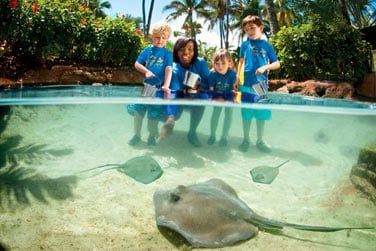 Des animations sont proposes aux plus jeunes  la rencontre des animaux