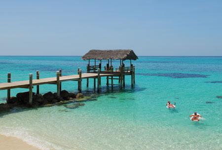 Une petite adresse atypique reconnue sur l'le