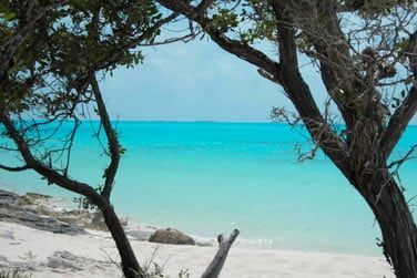 Une le  la beaut naturelle