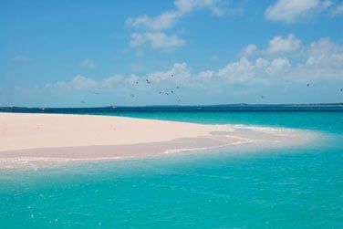 Vous pourrez dcouvrir de sublimes bancs de sable rien que pour vous