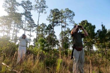 Observer en toute quitude la nature locale
