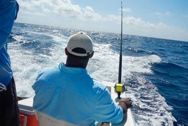 Partez en excursion pour une journe pche accompagn d'un guide