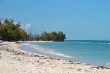 Sur l'le d'Andros, vous voici dans un environnement prserv