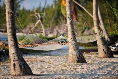 Un environnement propice  la dtente...