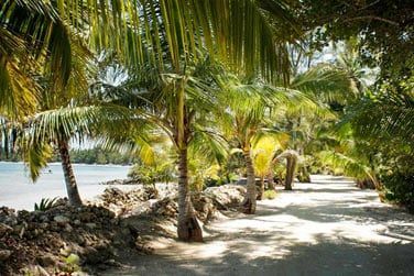 Les cottages sont construits  partir de corail et de pin de l'le Andros