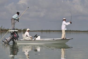 Pche  la mouche, pche au rcif, pche au large...