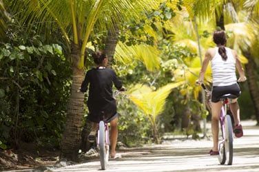 Partez explorer une faune et une flore prserves