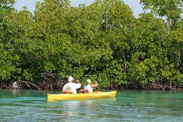 vous pourrez dcouvrir les attraits naturels de l'le grce  des excursions en kayak au coeur du parc National de Lucayan