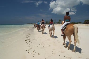 profitez d'une randonne  cheval le long des plages dsertes