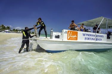 Dcouvrir les fonds marins avec le club de plonge PADI intgr  l'htel...