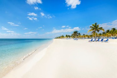 ... au bord d'une plage paradisiaque !