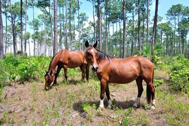 De grands espaces vous attendent