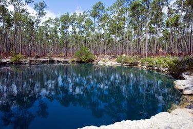 Une nature sauvage et prserve domine le paysage