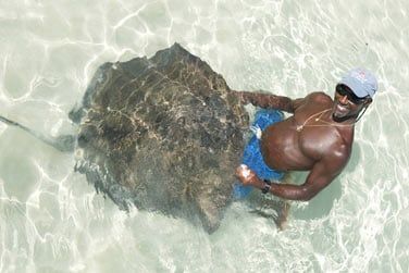 Des cratures sous-marines  couper le souffle...