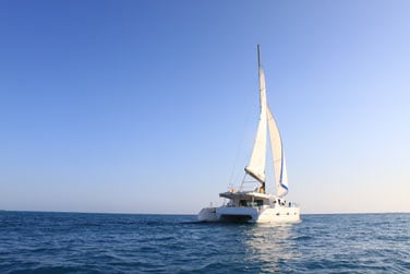 Votre catamaran le Dream 60