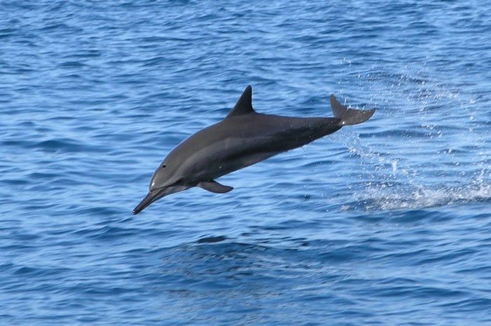 Vous naviguerez parmi les sites les plus rputs au monde