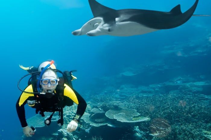 Amateurs de plonge, vous vivrez une exprience inoubliable