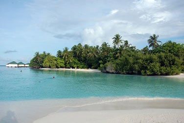 Profitez d'un cadre paradisiaque