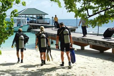 Plongeurs dbutants comme confirms sont accompagns par une quipe de professionnels