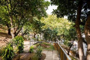 photo Les Aigrettes Runion