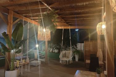 photo Majesty Palm Guadeloupe