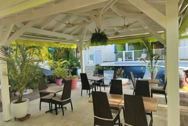 photo Majesty Palm Guadeloupe