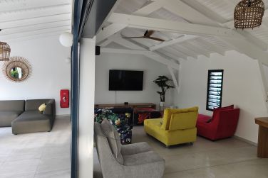 photo Majesty Palm Guadeloupe